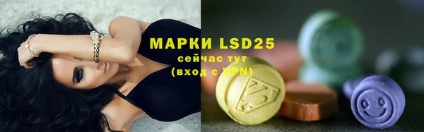 бошки Горняк